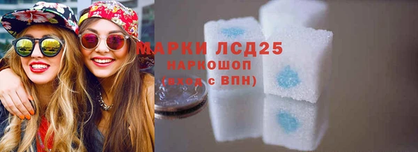 прущий лед Горняк