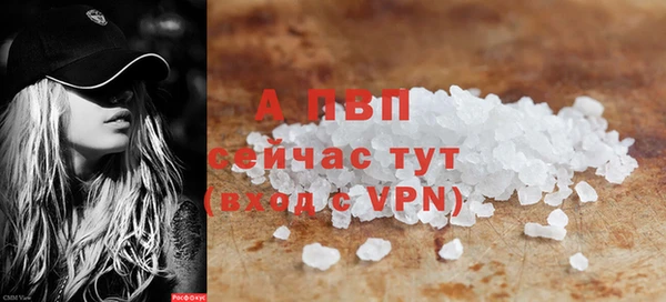 винт Горно-Алтайск