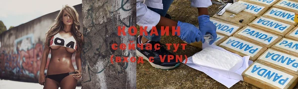 винт Горно-Алтайск