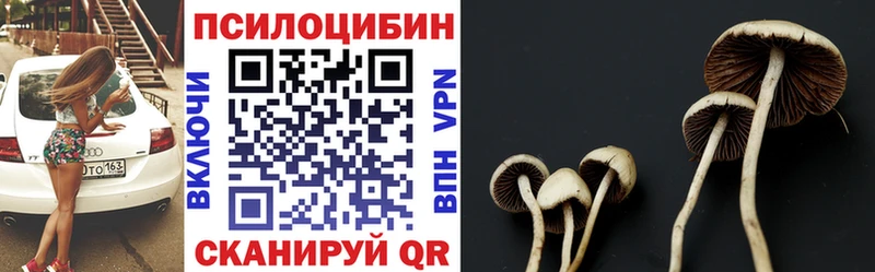 Псилоцибиновые грибы MAGIC MUSHROOMS Купить Камешково
